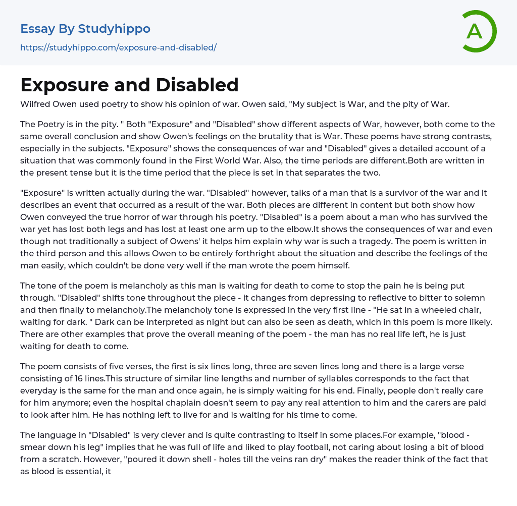 Exposure and Disabled Essay Example
