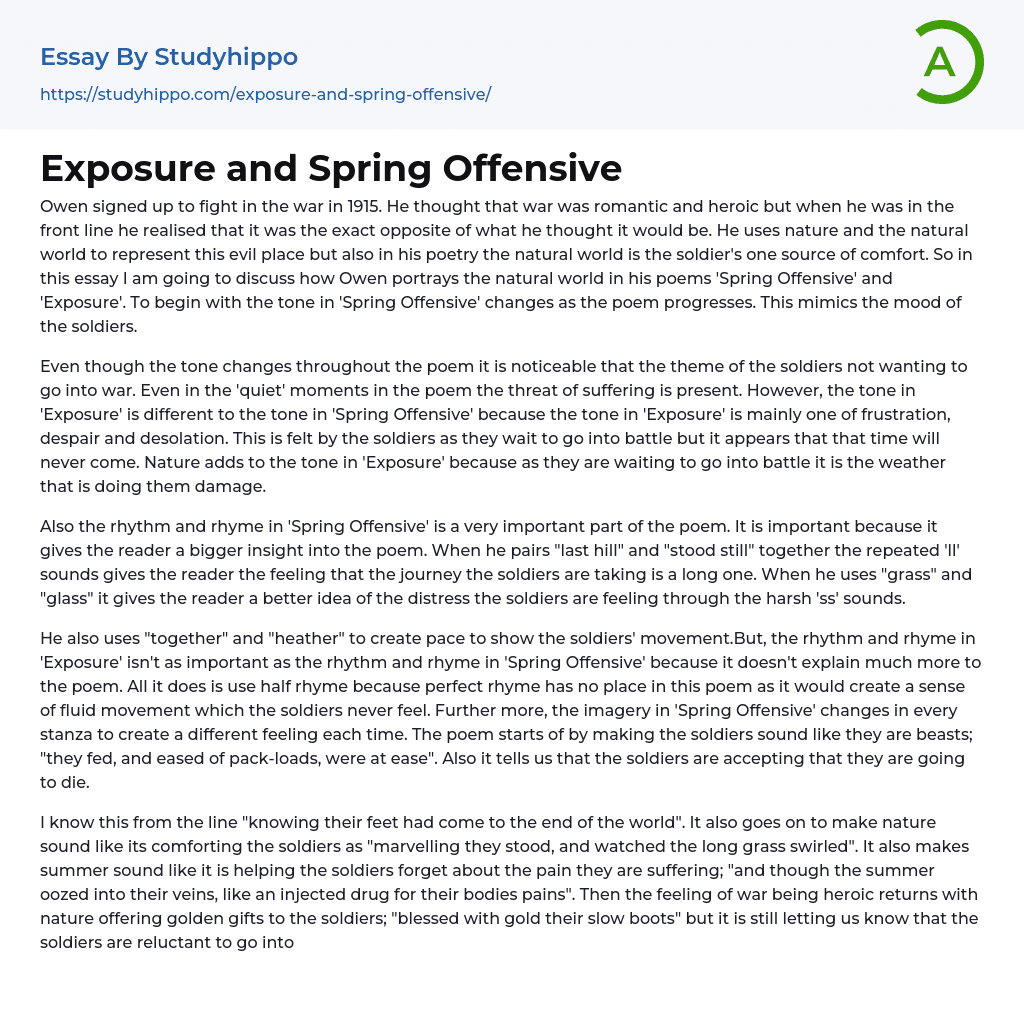 Exposure and Spring Offensive Essay Example