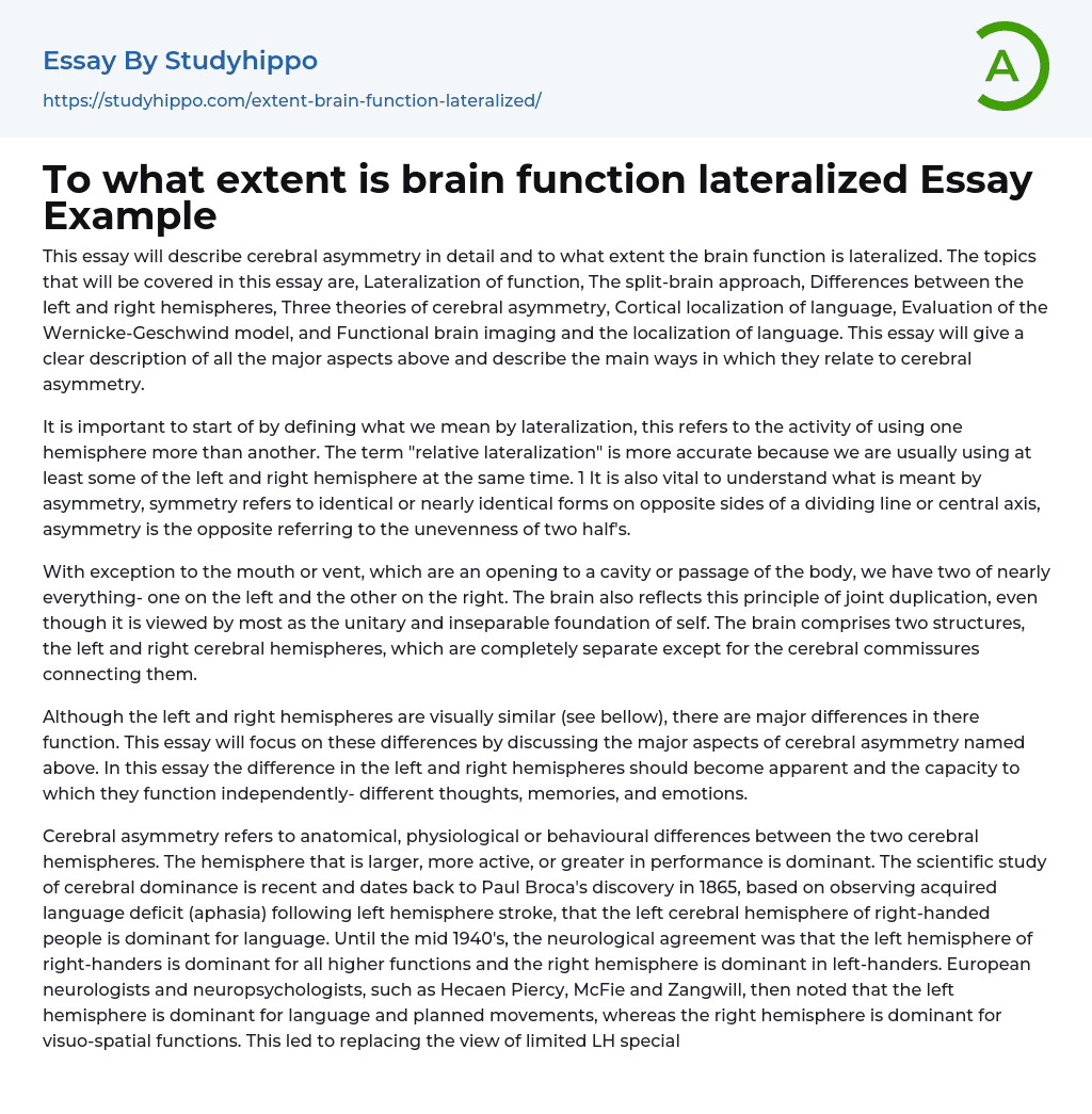 To what extent is brain function lateralized Essay Example