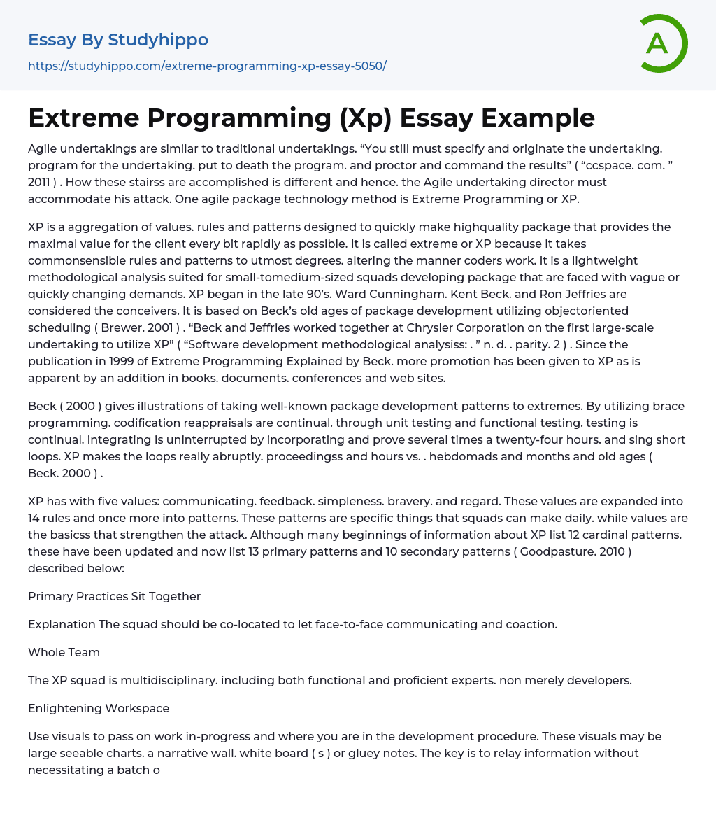 Extreme Programming (Xp) Essay Example