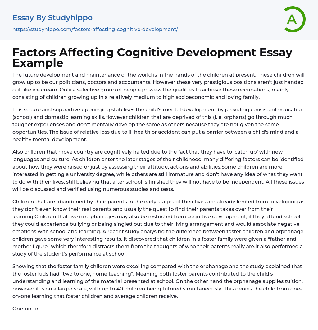 Factors Affecting Cognitive Development Essay Example