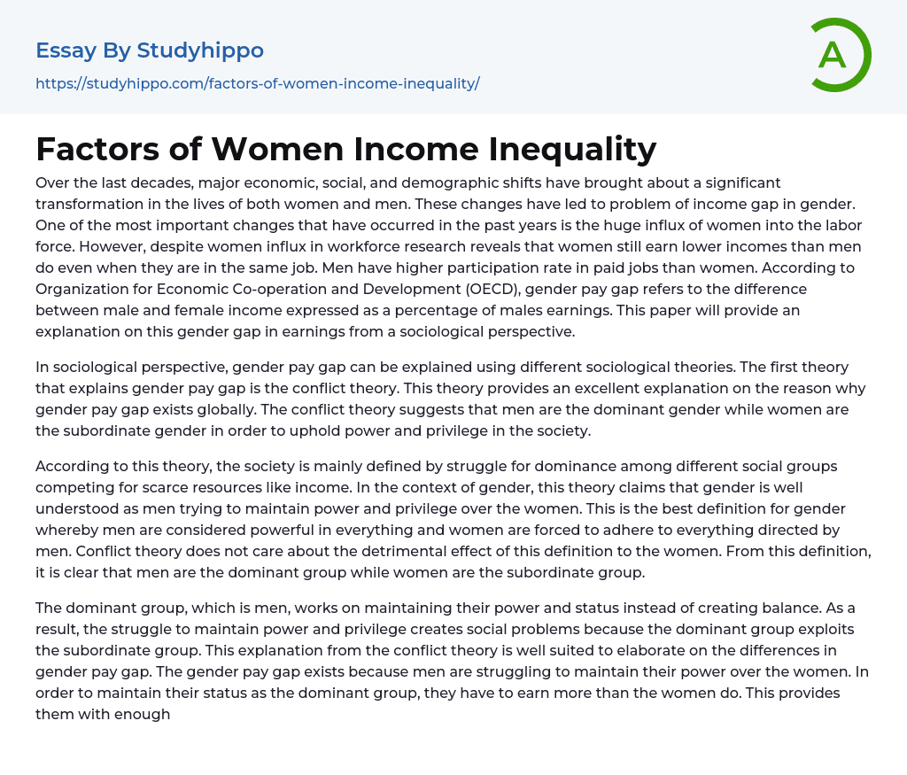 Factors of Women Income Inequality Essay Example