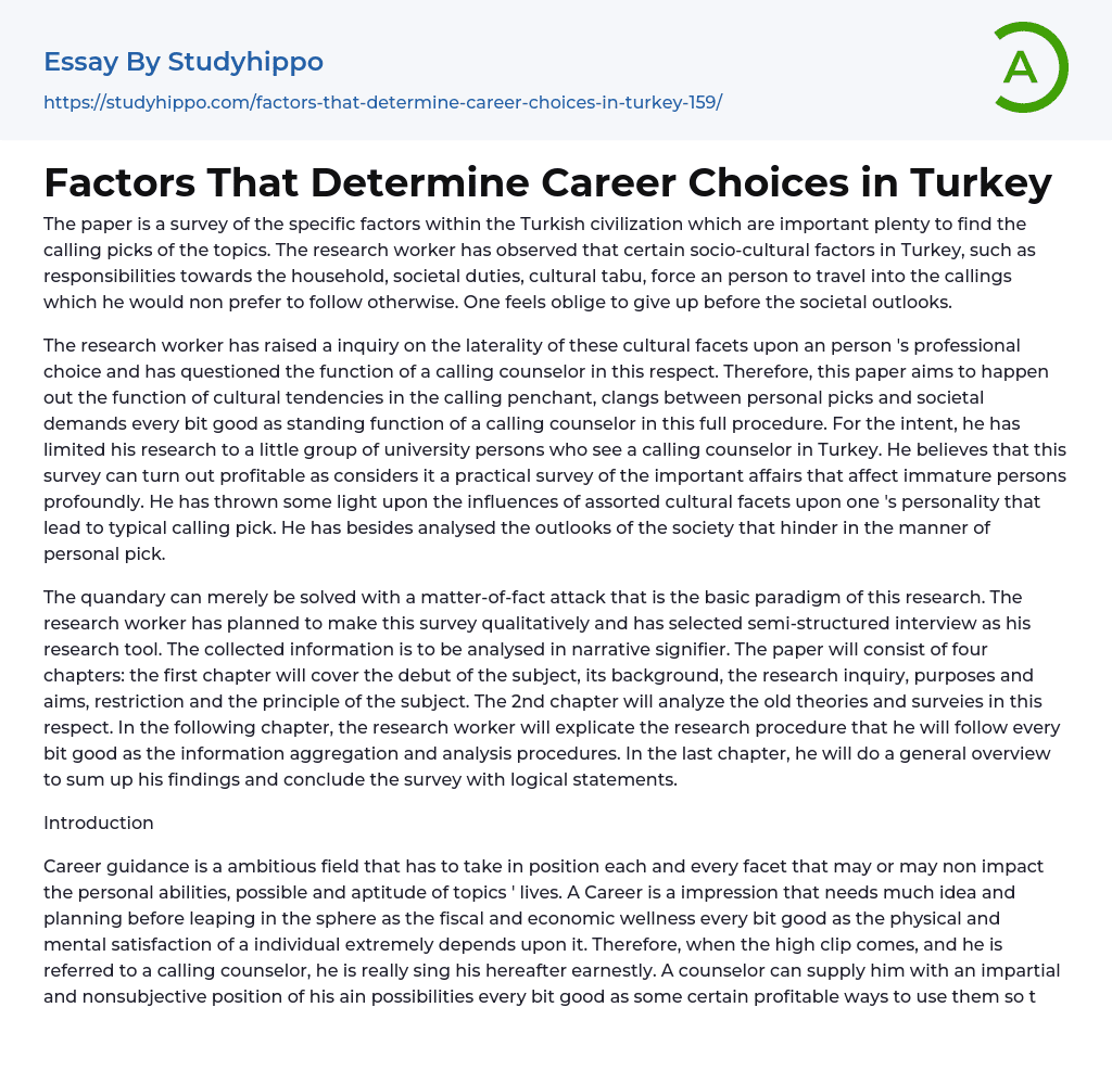 Factors That Determine Career Choices in Turkey Essay Example