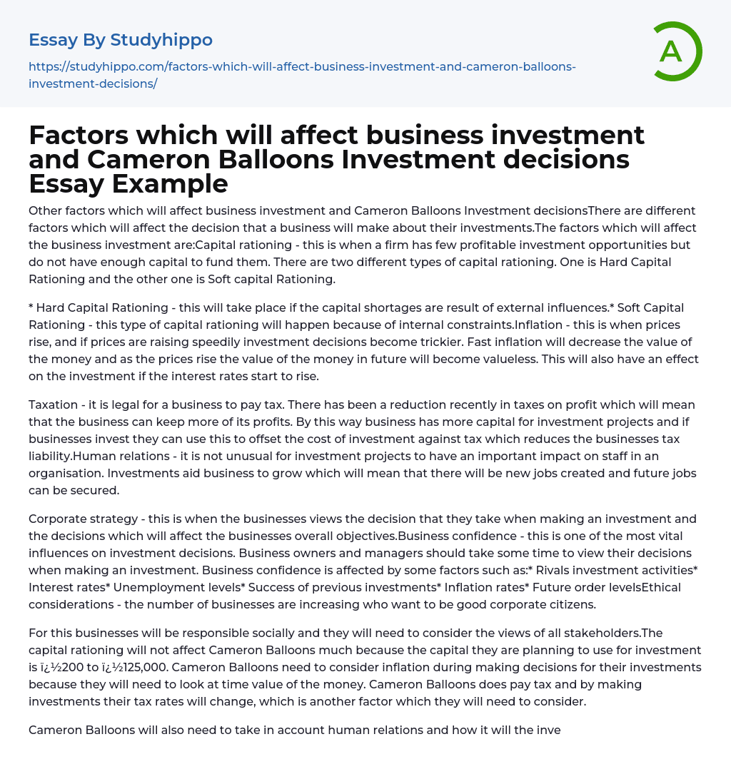The Factors Affecting Cameron Balloons Investment Decisions