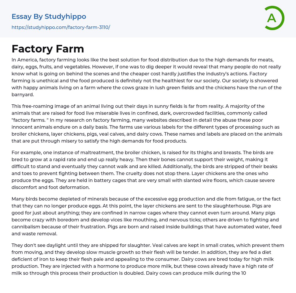 Factory Farm Essay Example