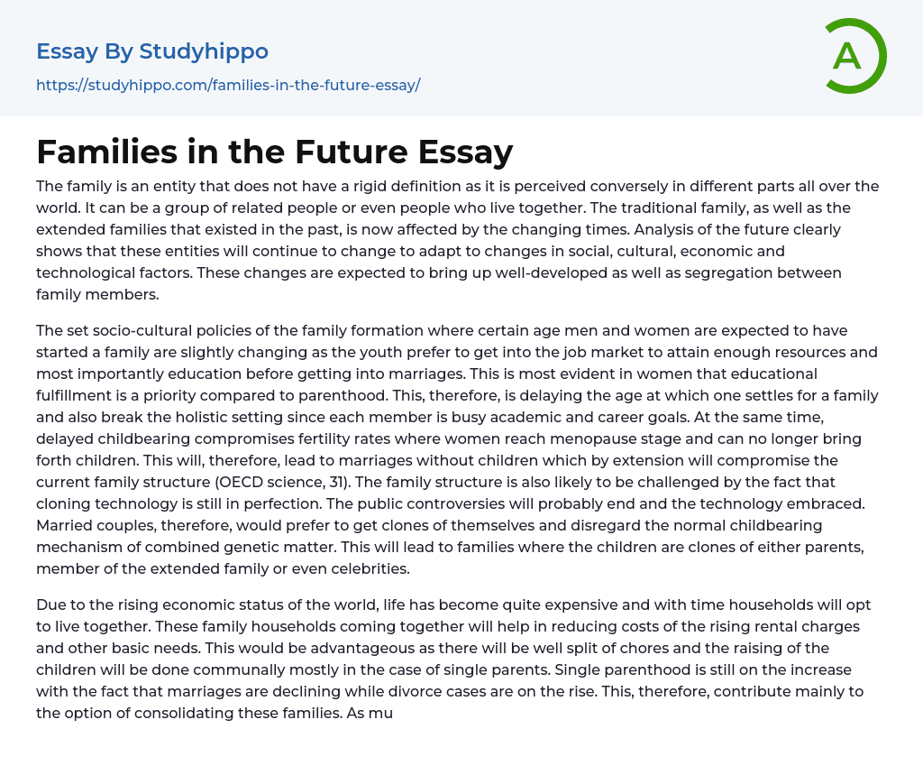 Families in the Future Essay