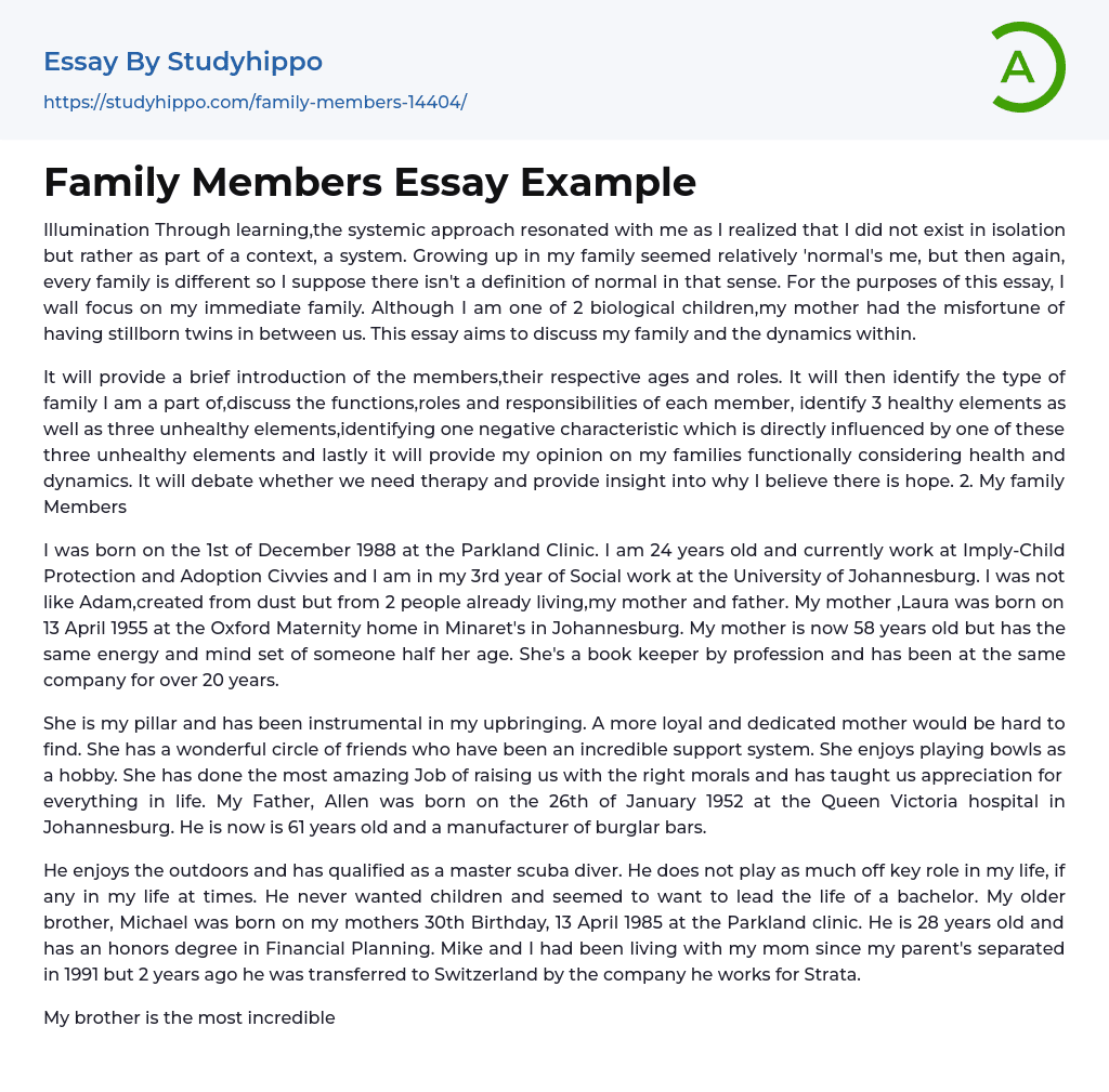 Family Members Essay Example