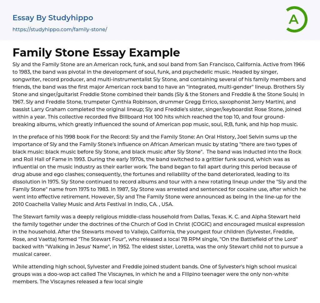 Family Stone Essay Example