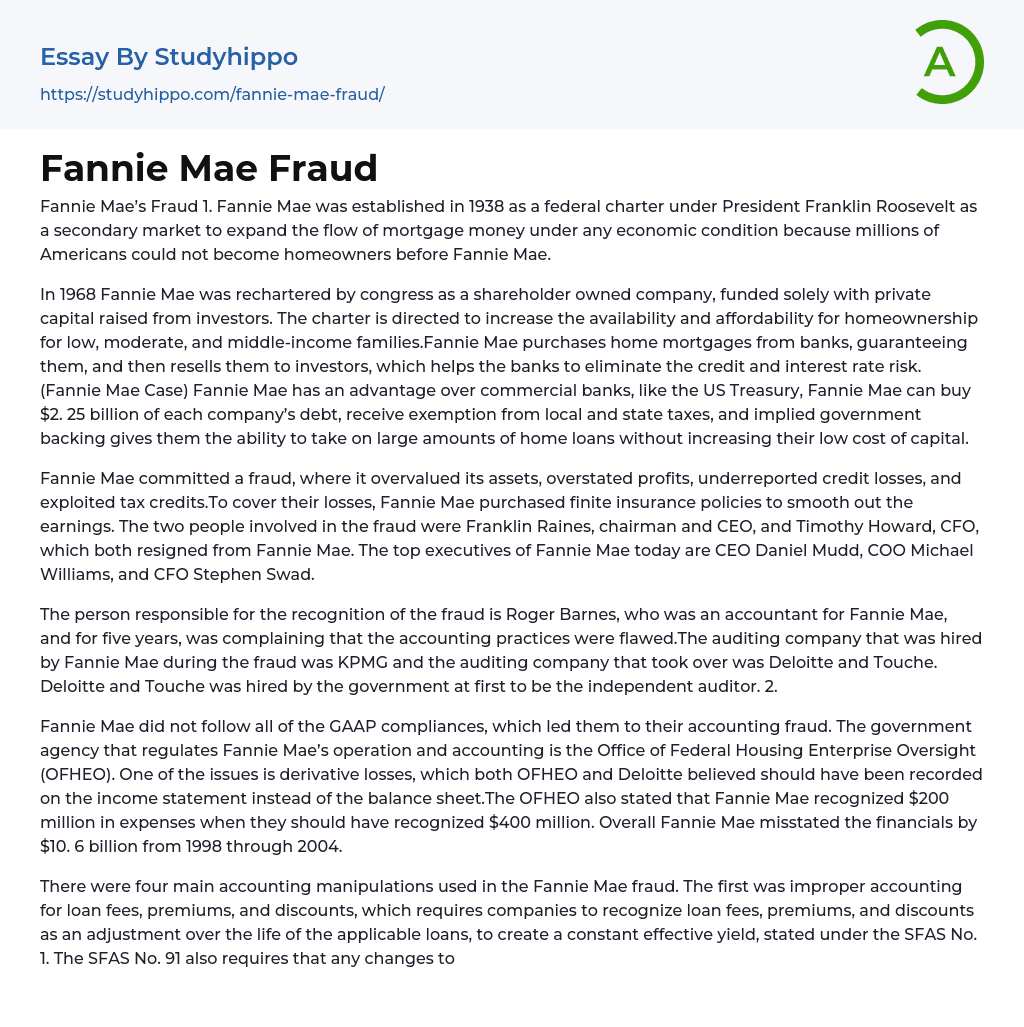 Fannie Mae Fraud Essay Example