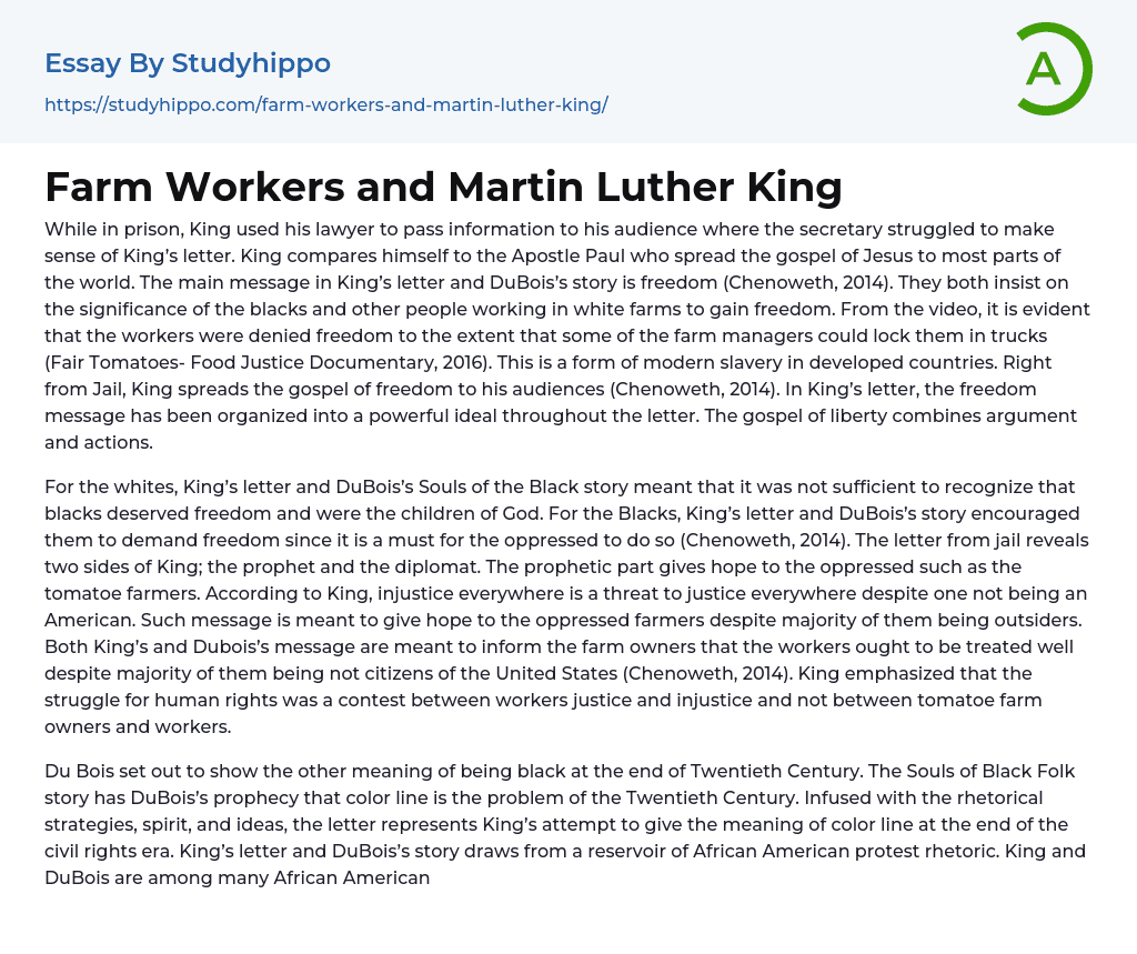 Farm Workers and Martin Luther King Essay Example