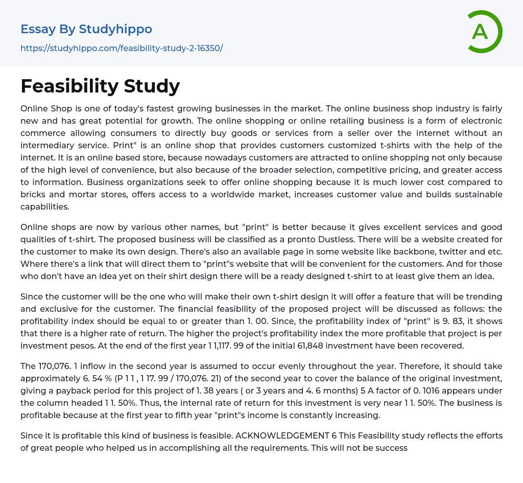 Feasibility Study Essay Example