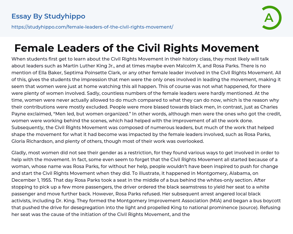 women's civil rights movement essay