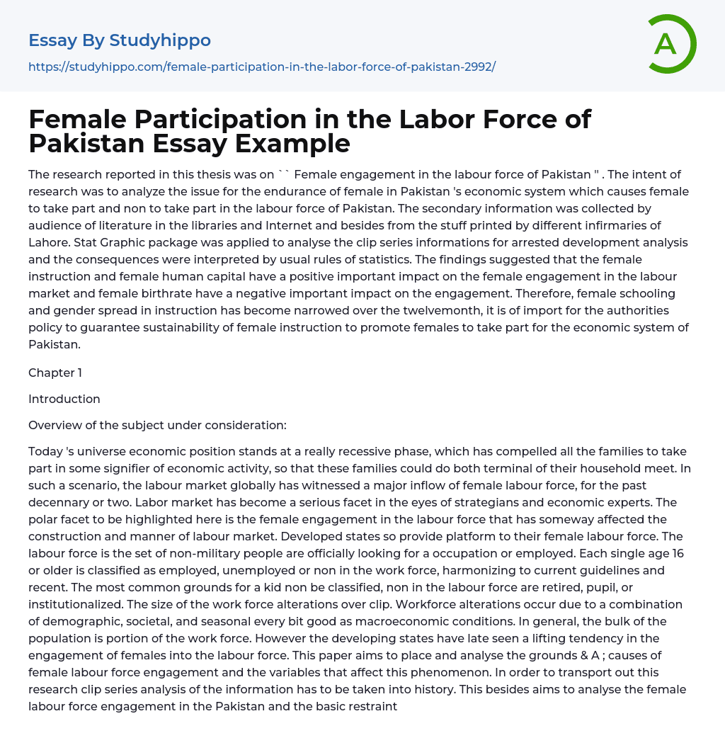 Female Participation in the Labor Force of Pakistan Essay Example