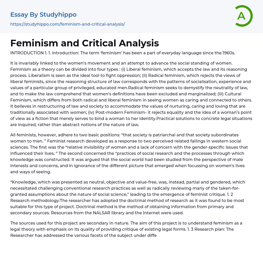Feminism and Critical Analysis Essay Example