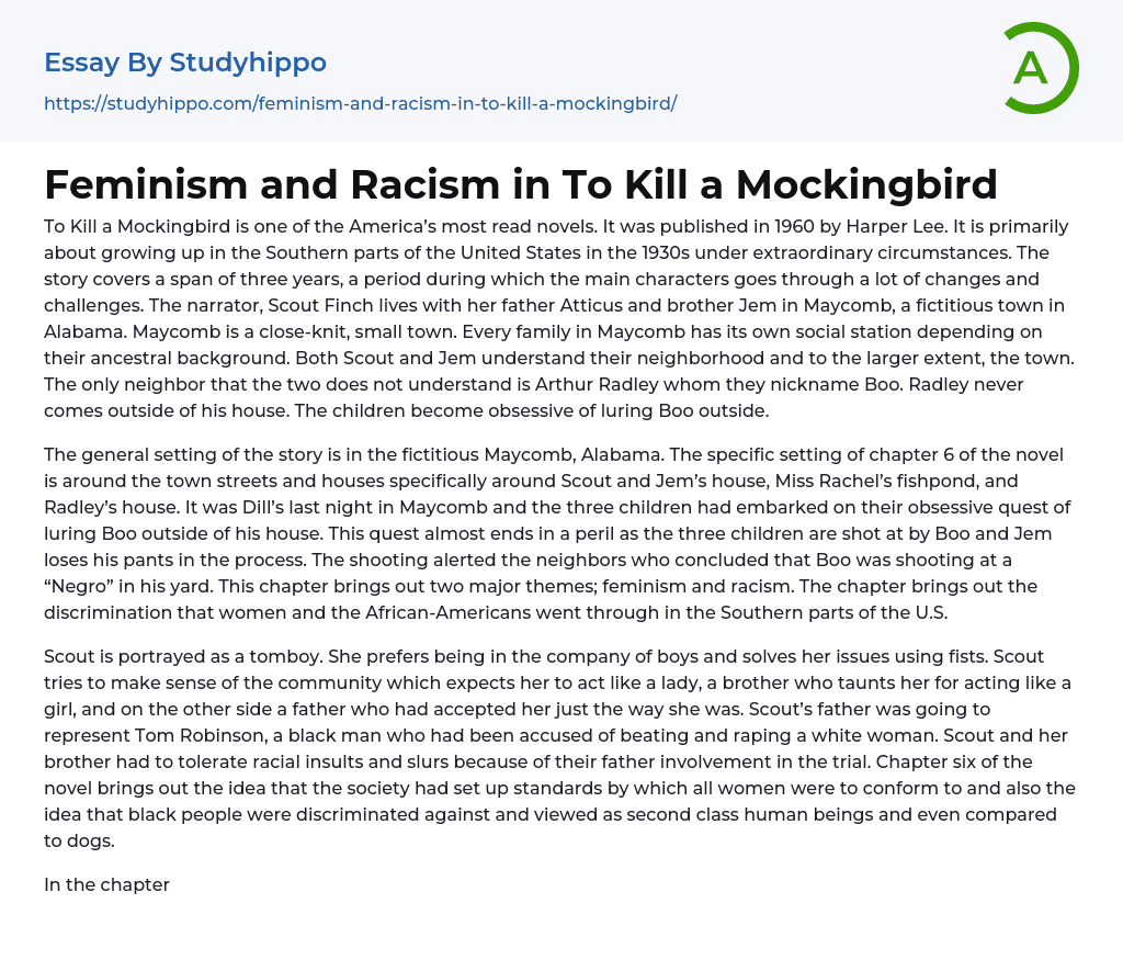 Feminism and Racism in To Kill a Mockingbird Essay Example