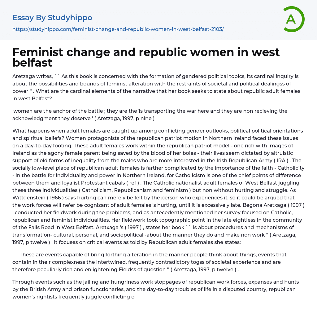 Feminist change and republic women in west belfast Essay Example