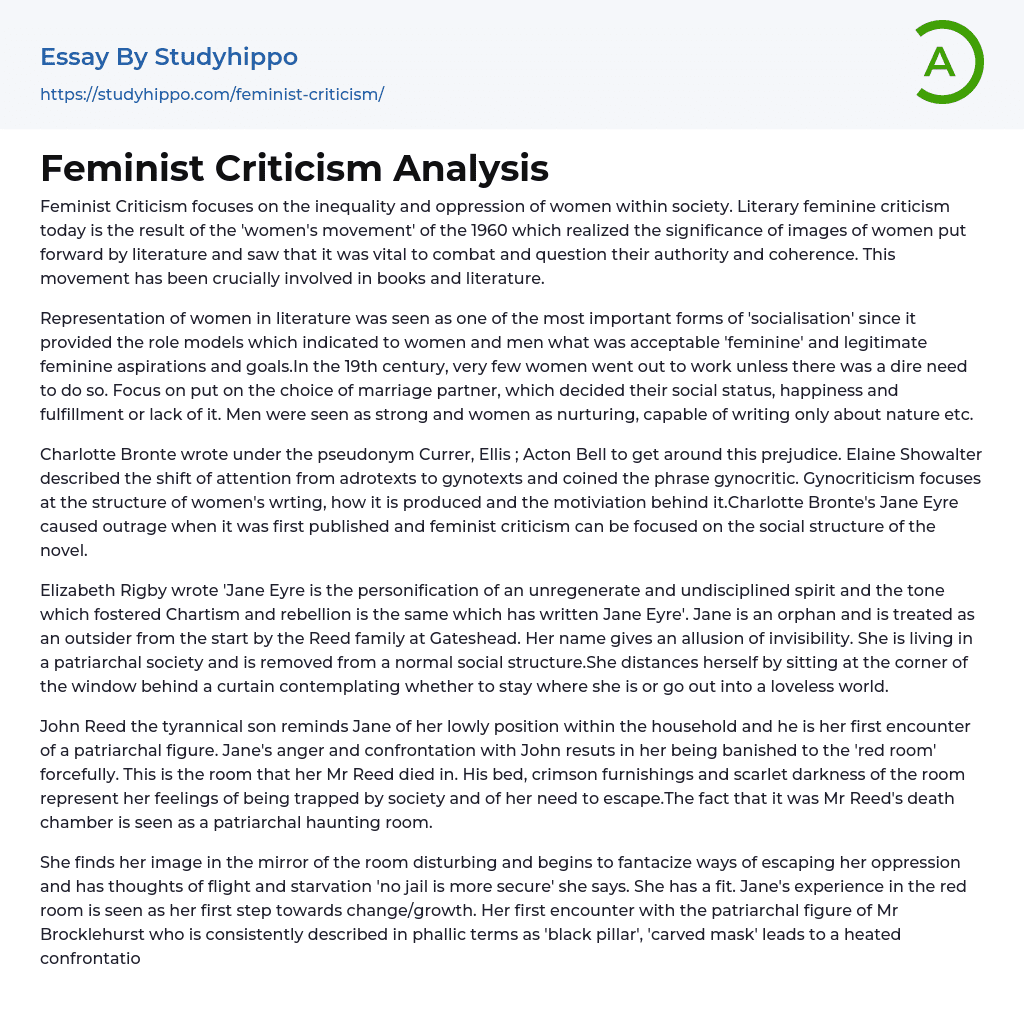 Feminist Criticism Analysis Essay Example