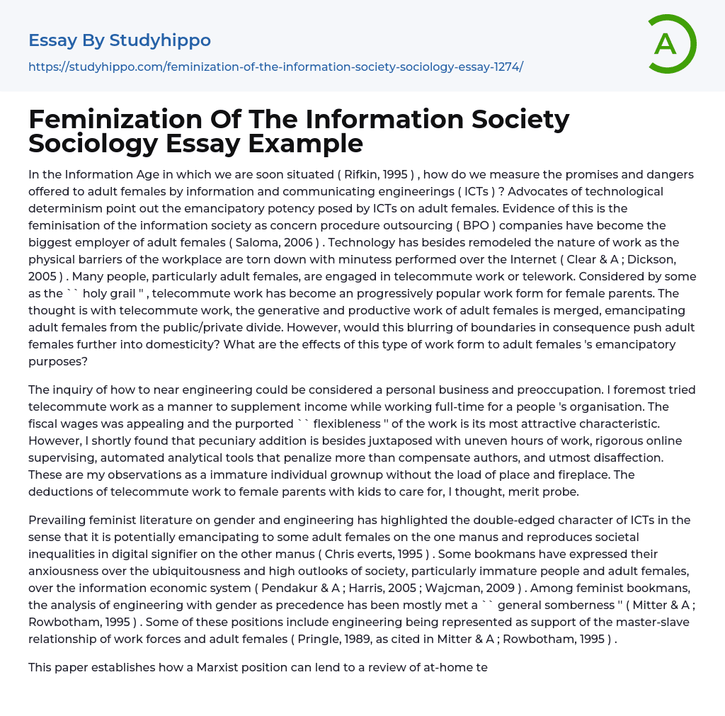Feminization Of The Information Society Sociology Essay Example