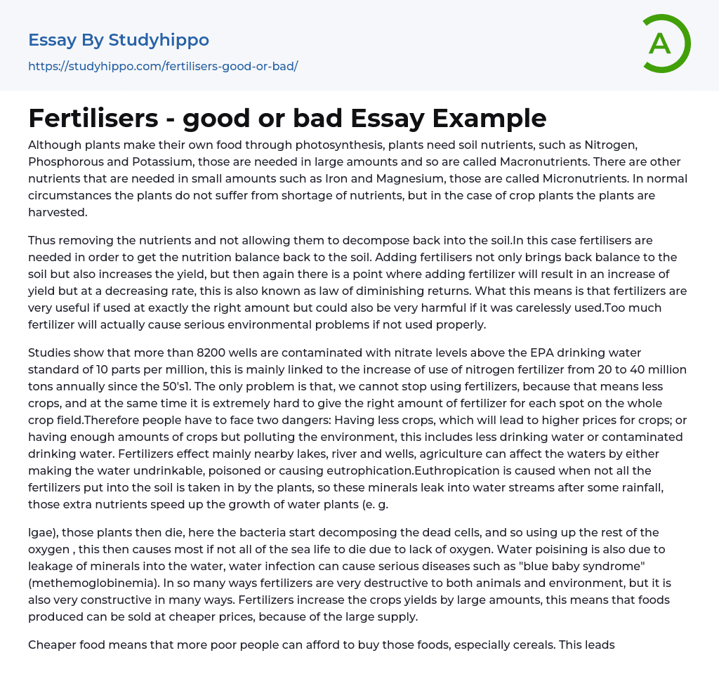 Fertilisers – good or bad Essay Example