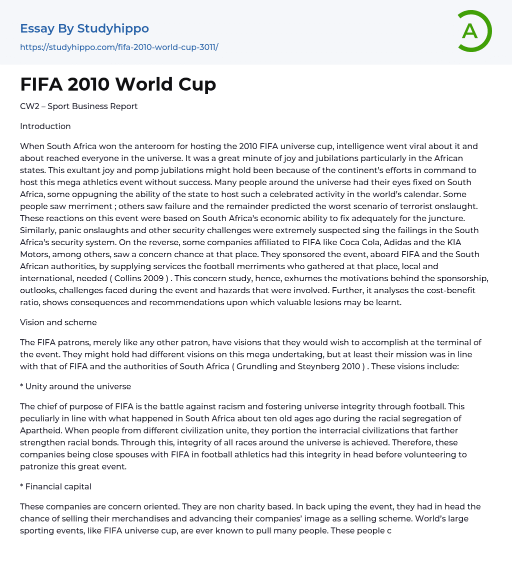 FIFA 2010 World Cup Essay Example