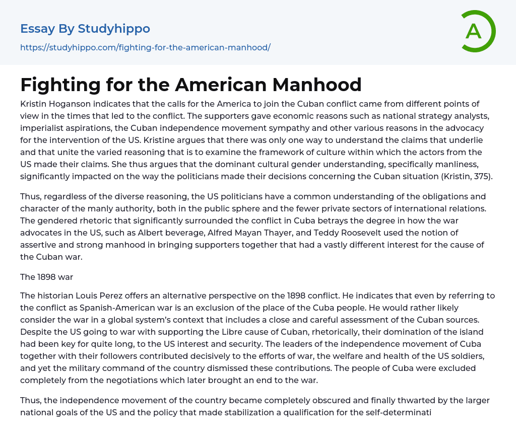 Fighting for the American Manhood Essay Example