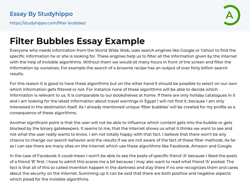 Filter Bubbles Essay Example