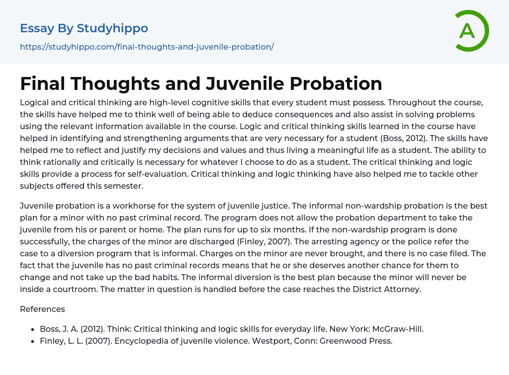 Final Thoughts and Juvenile Probation Essay Example