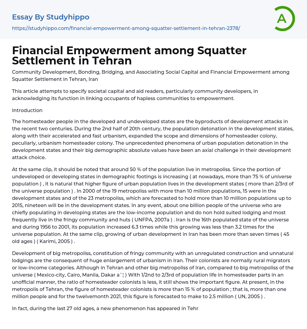 Financial Empowerment among Squatter Settlement in Tehran Essay Example