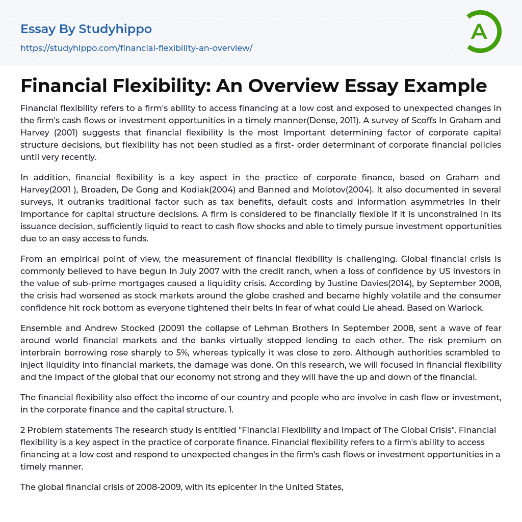 Financial Flexibility: An Overview Essay Example