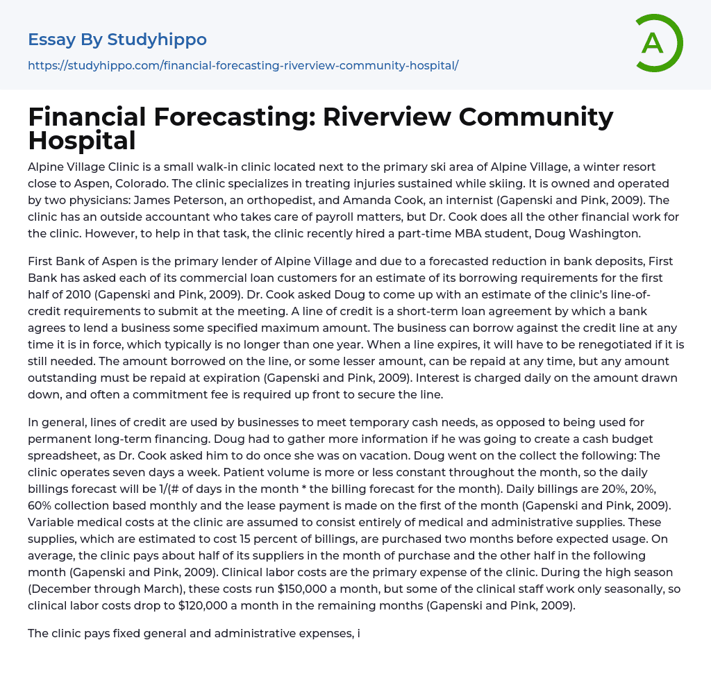 Financial Forecasting Riverview Community Hospital Essay Example 