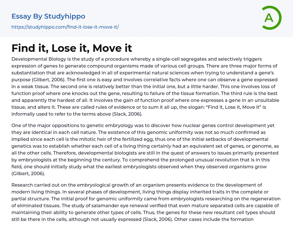 Find it, Lose it, Move it Essay Example