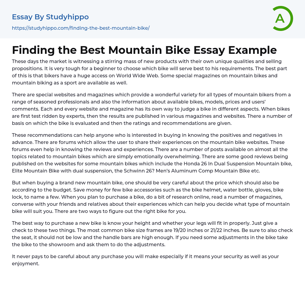 Finding the Best Mountain Bike Essay Example