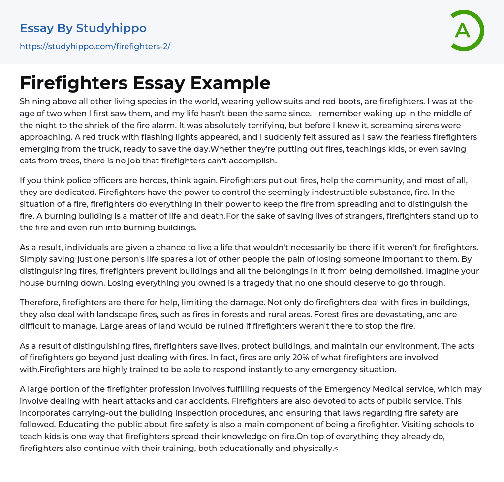Firefighters Essay Example