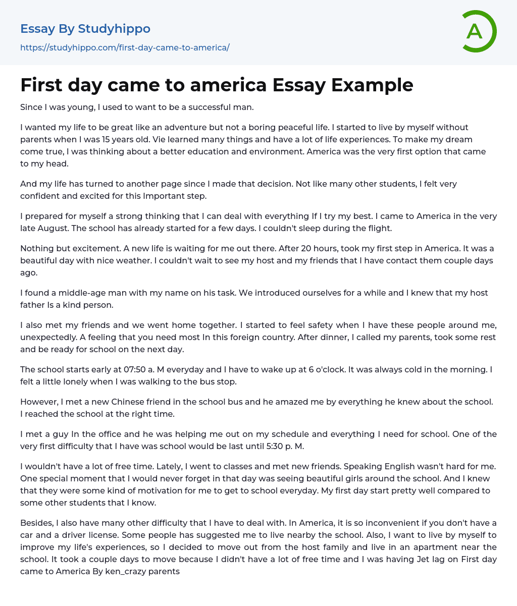 First day came to america Essay Example