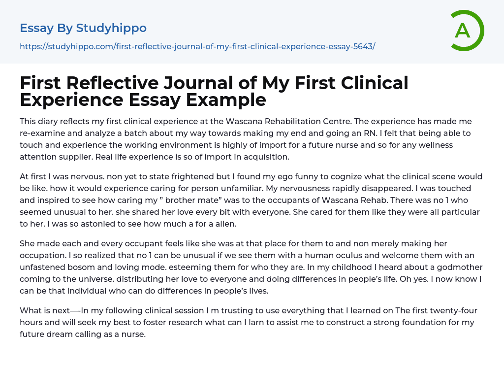 First Reflective Journal of My First Clinical Experience Essay Example