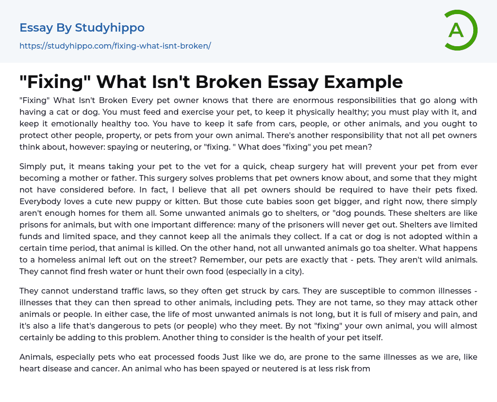 “Fixing” What Isn’t Broken Essay Example