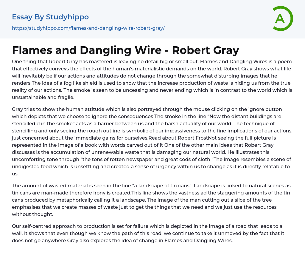 Flames and Dangling Wire – Robert Gray Essay Example