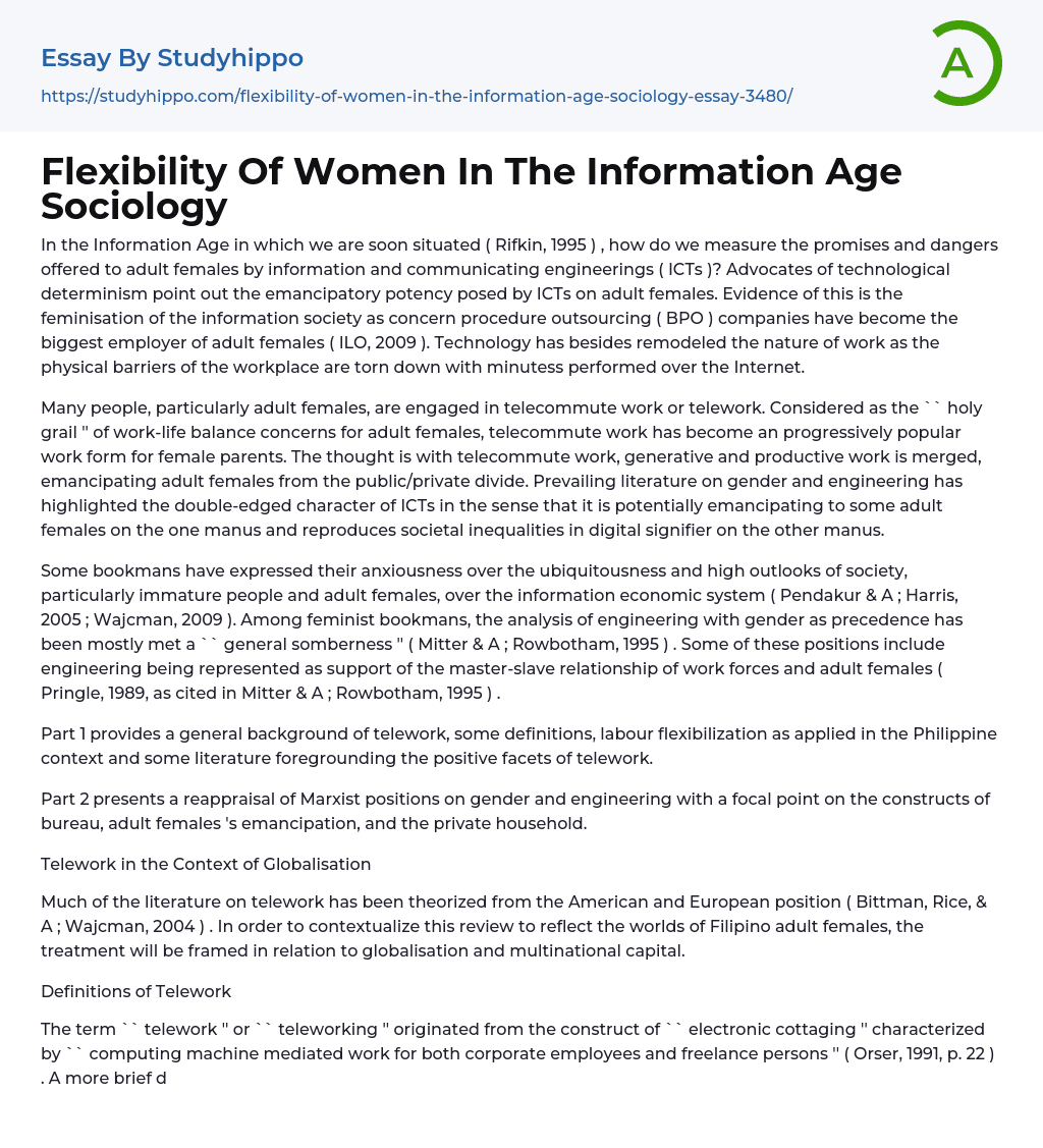 Flexibility Of Women In The Information Age Sociology Essay Example