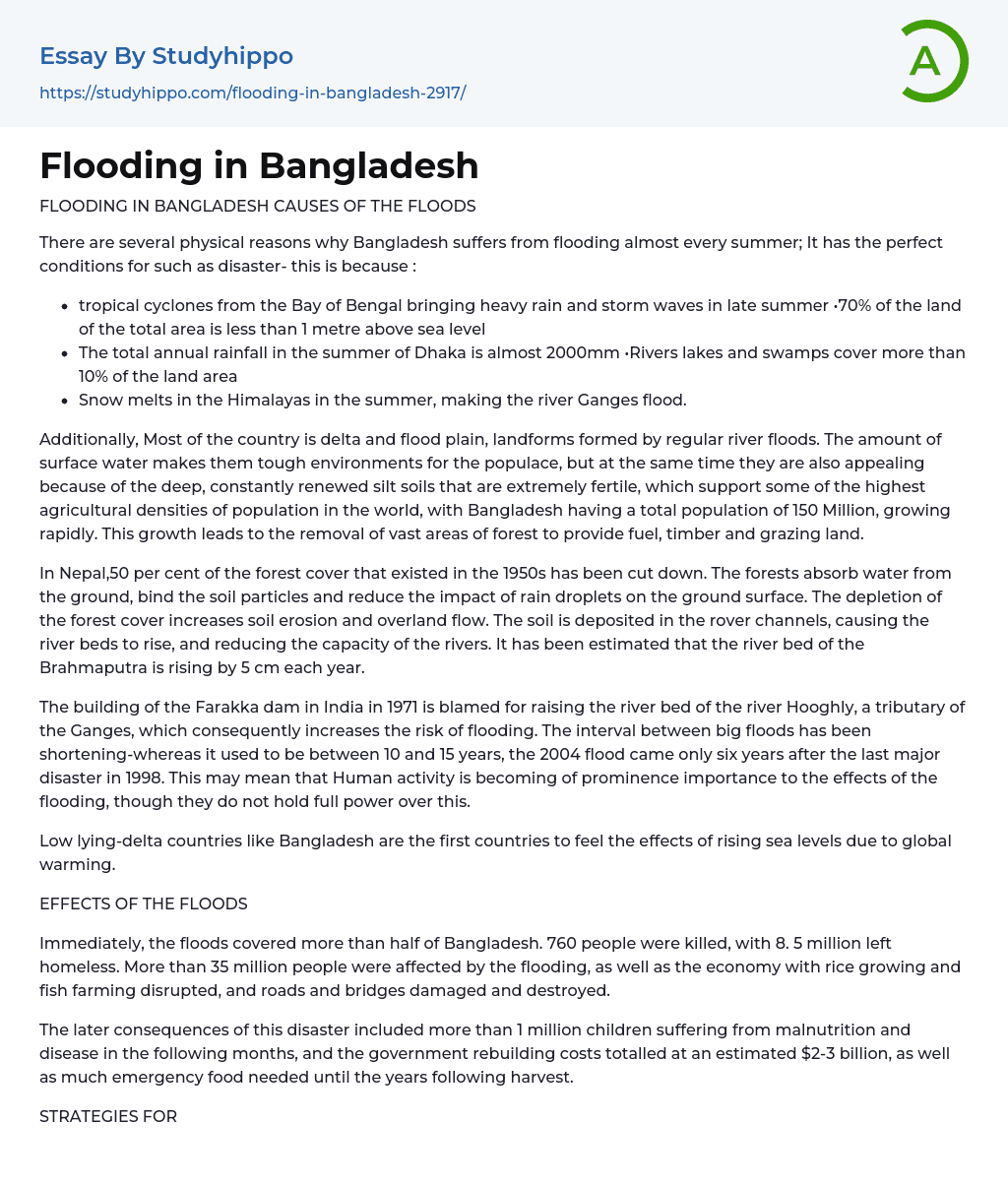 Flooding in Bangladesh Essay Example