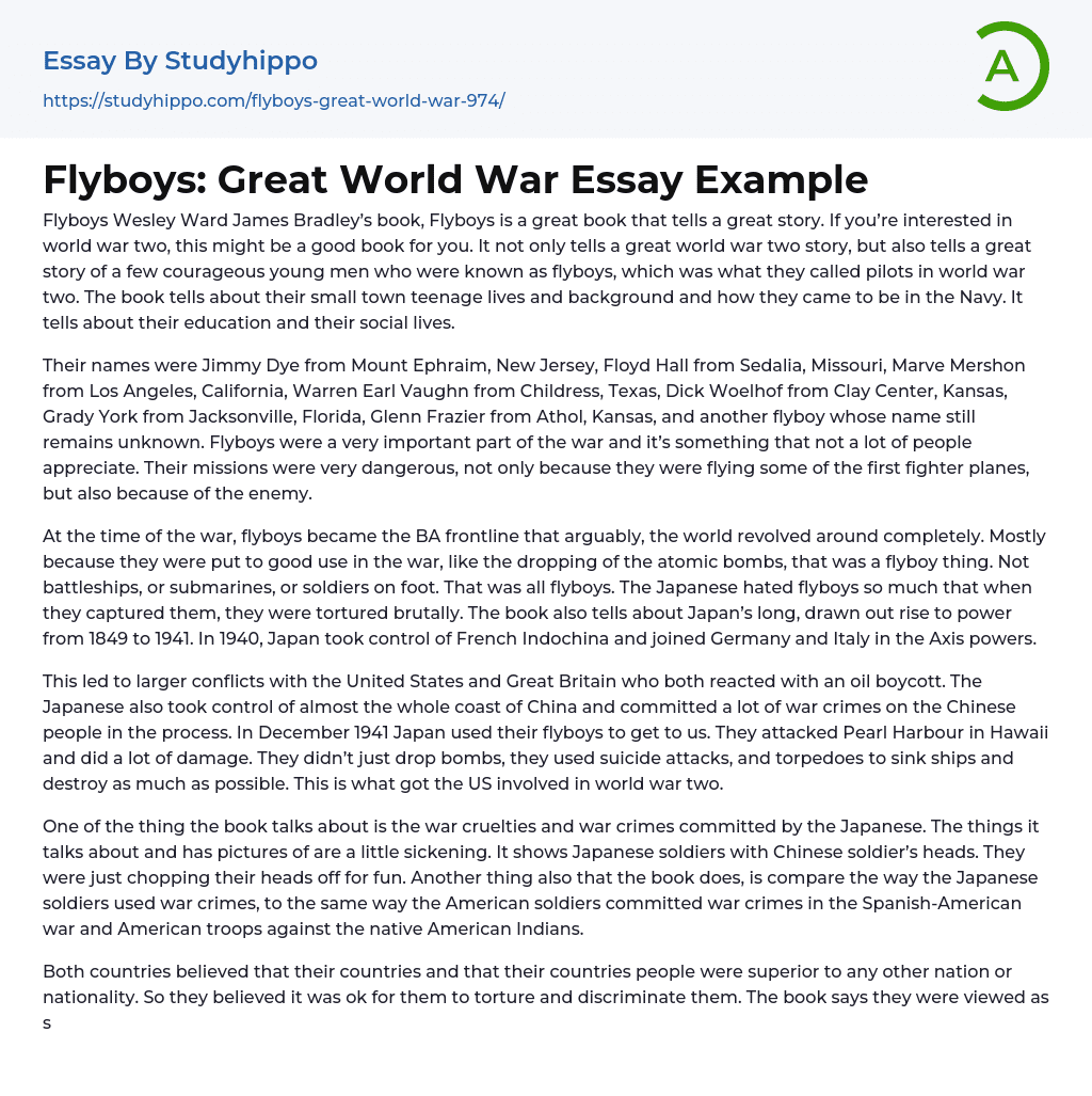 Flyboys: Great World War Essay Example