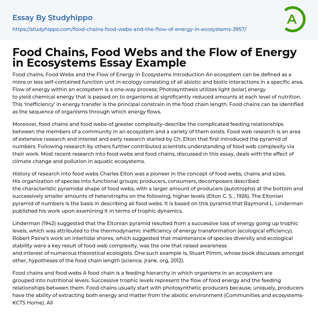 Food Chains, Food Webs and the Flow of Energy in Ecosystems Essay Example