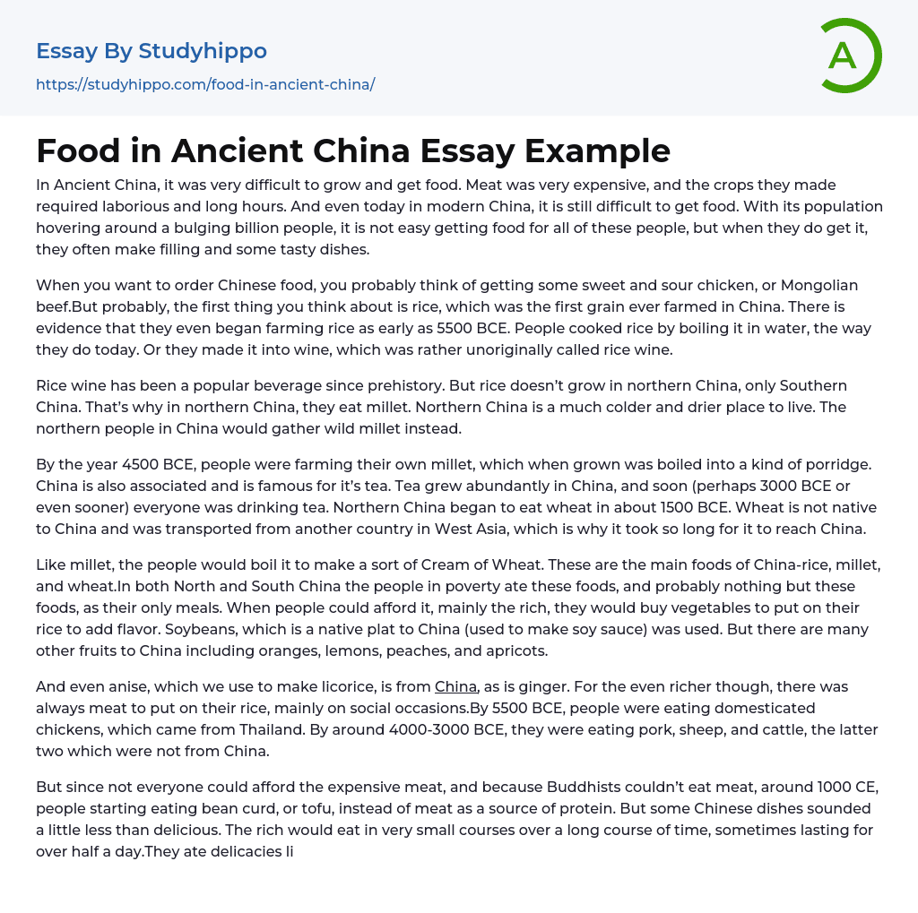 Food in Ancient China Essay Example