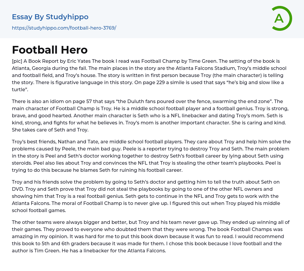 Football Hero Essay Example