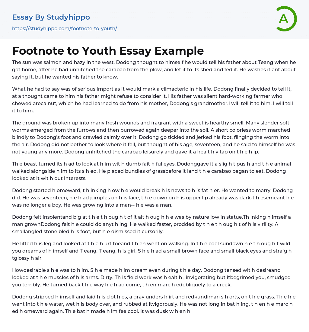 Footnote to Youth Essay Example