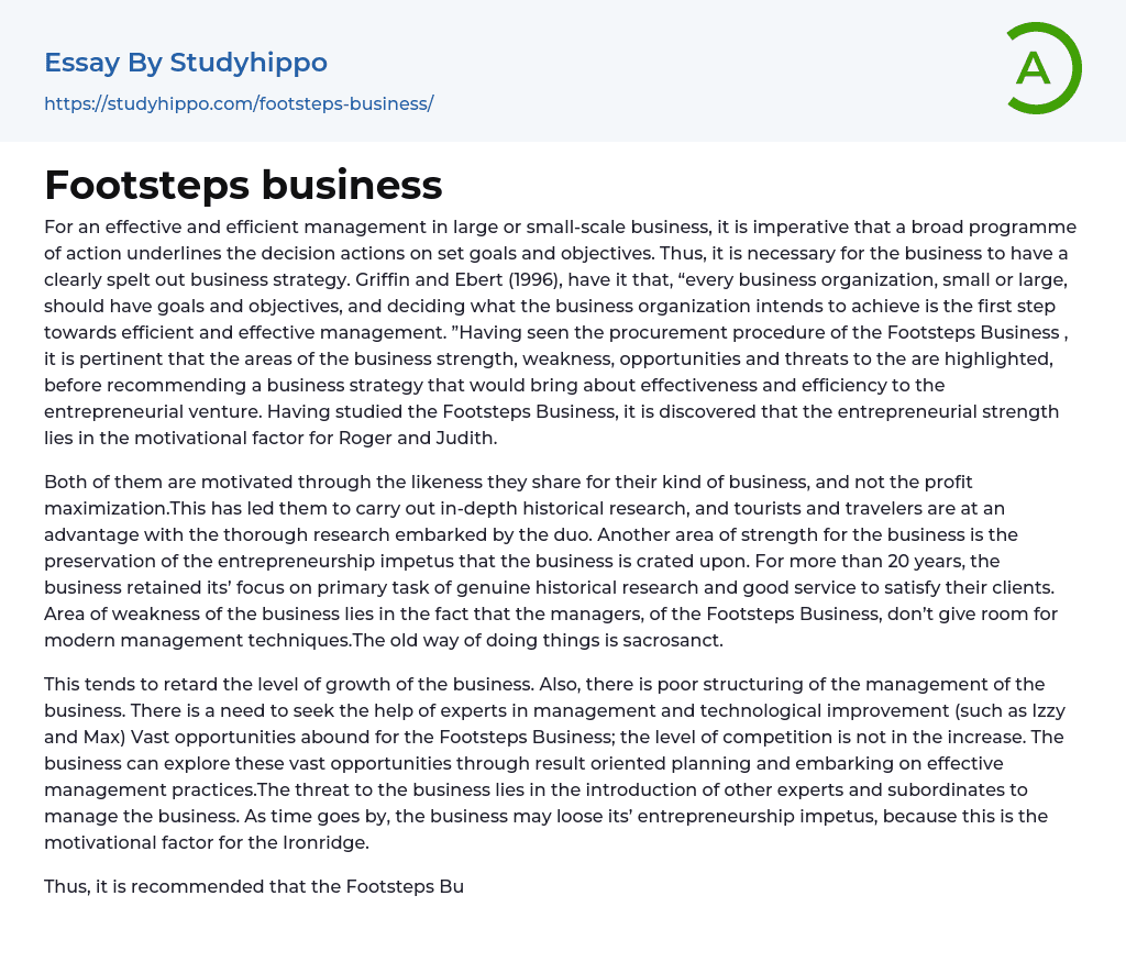 Footsteps business Essay Example