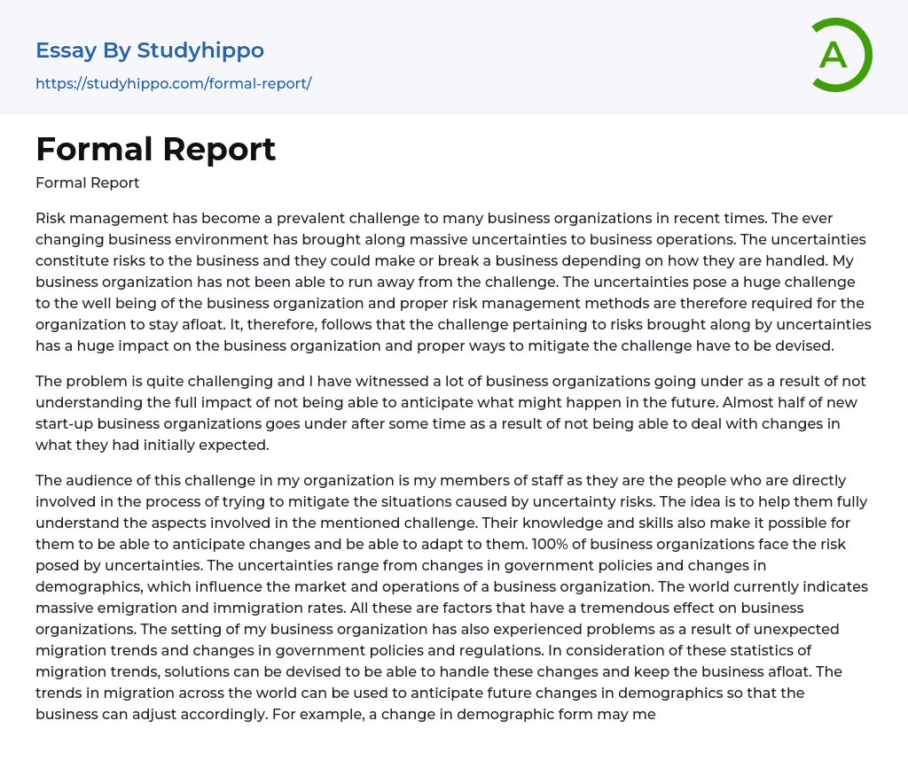Formal Report Essay Example