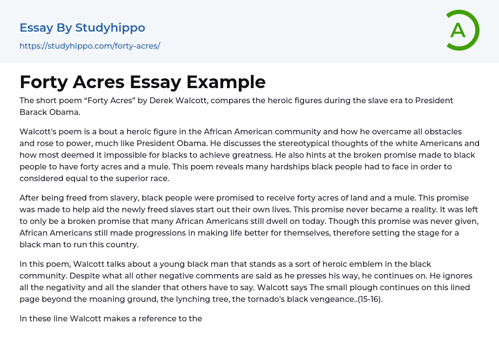 Forty Acres Essay Example