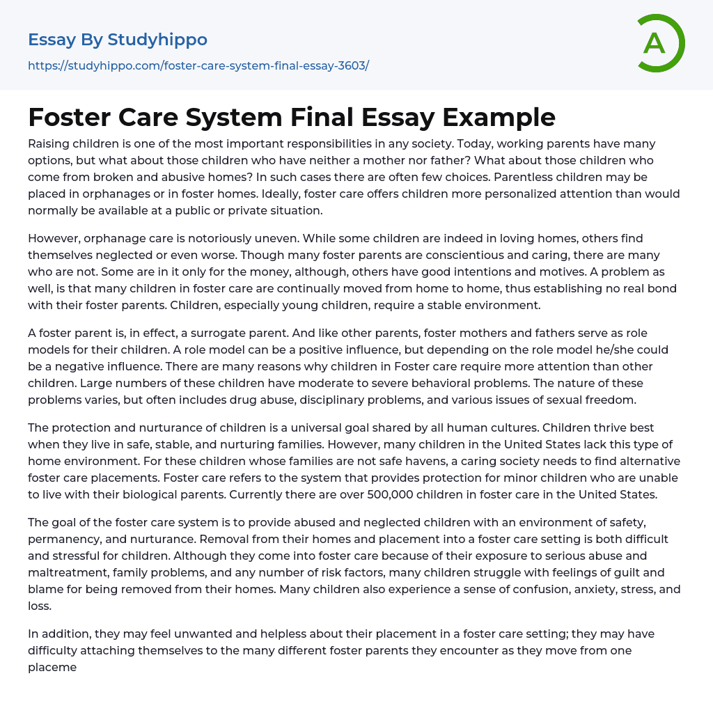 Foster Care System Final Essay Example