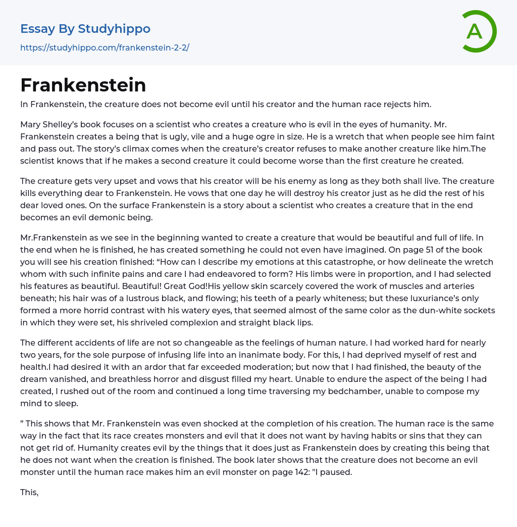 Frankenstein Essay Example