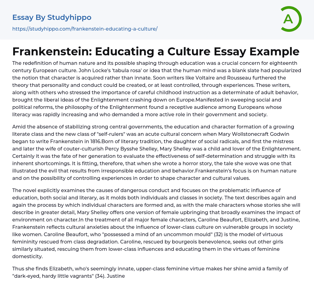 Frankenstein: Educating a Culture Essay Example